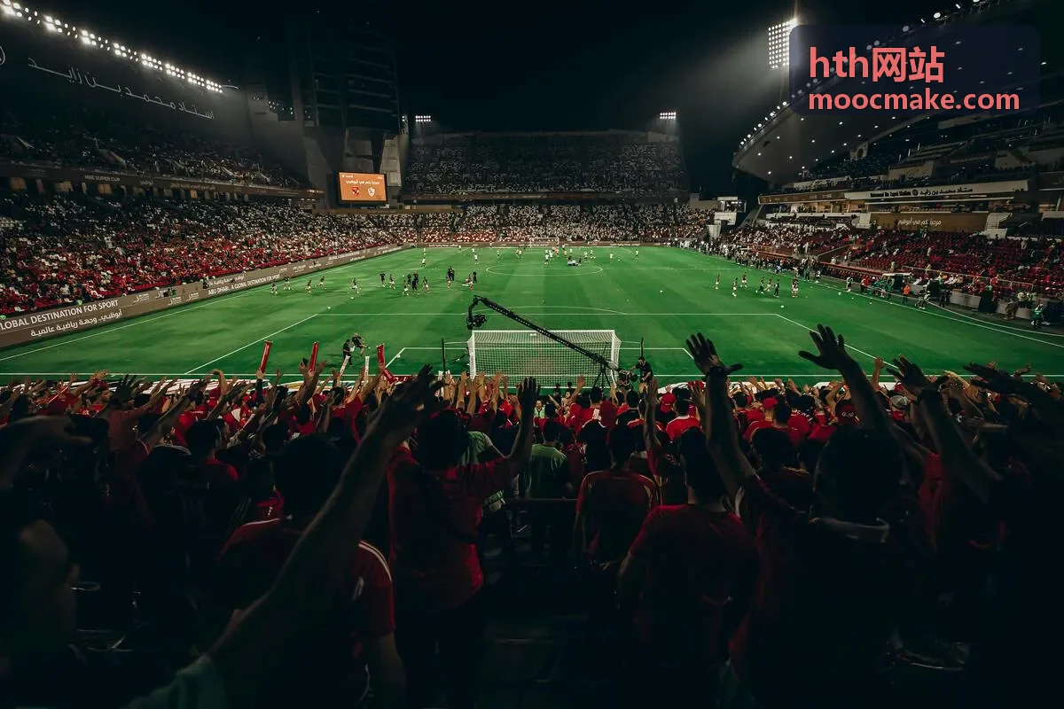 hth网站 页面搜索可见性优化封面